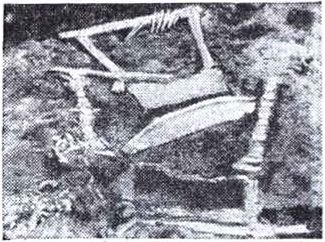 Арфы из гробницы царя Абарги в момент раскопок. Ур. III тыс. до н. э.