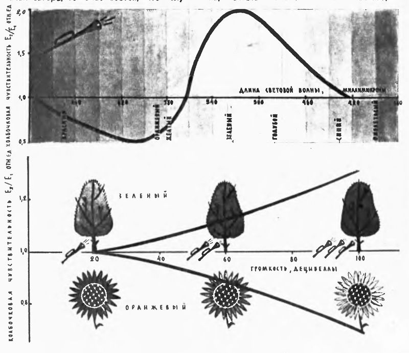 Кривые изменения колбочковой чувтсвительности глаза под влиянием звуковых раздражений, полученные С.В.Кравковым. Е1 - уровень цветовой чувтствительности глаза при отсутсвии слухового раздражения; Е2 - уровень цветовой чувствительности во время звука. По горизонтальной оси - длина световой волны в миллимикронах (первый график) и громкость звука в децибеллах (второй график).
