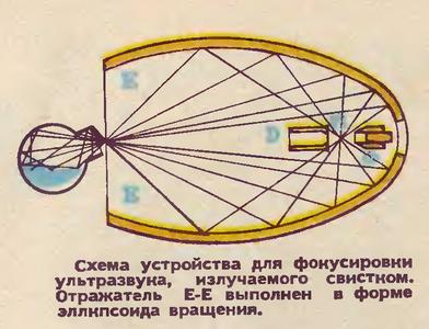 Устройство для фокусировки ультразвука