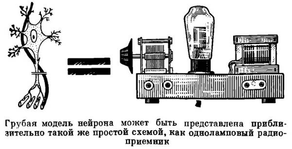 Грубая модель нейрона может быть представлена приблизительно такой же простой схемой, как одноламповый радиоприёмник