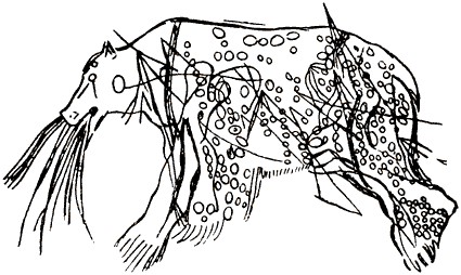 Гравированный рисунок медведя на стене пещеры Трёх братьев в Арьеже. Медведь покрыт ранами от вонзившихся стрел и летящих на него камней; из раскрытой пасти зверя течёт кровь.