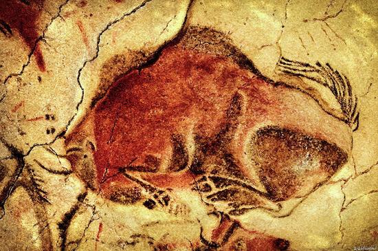 Живописное изображение бизона на потолке Альтамирской пещеры (Испания).
