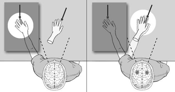 Иллюзия резиновой руки